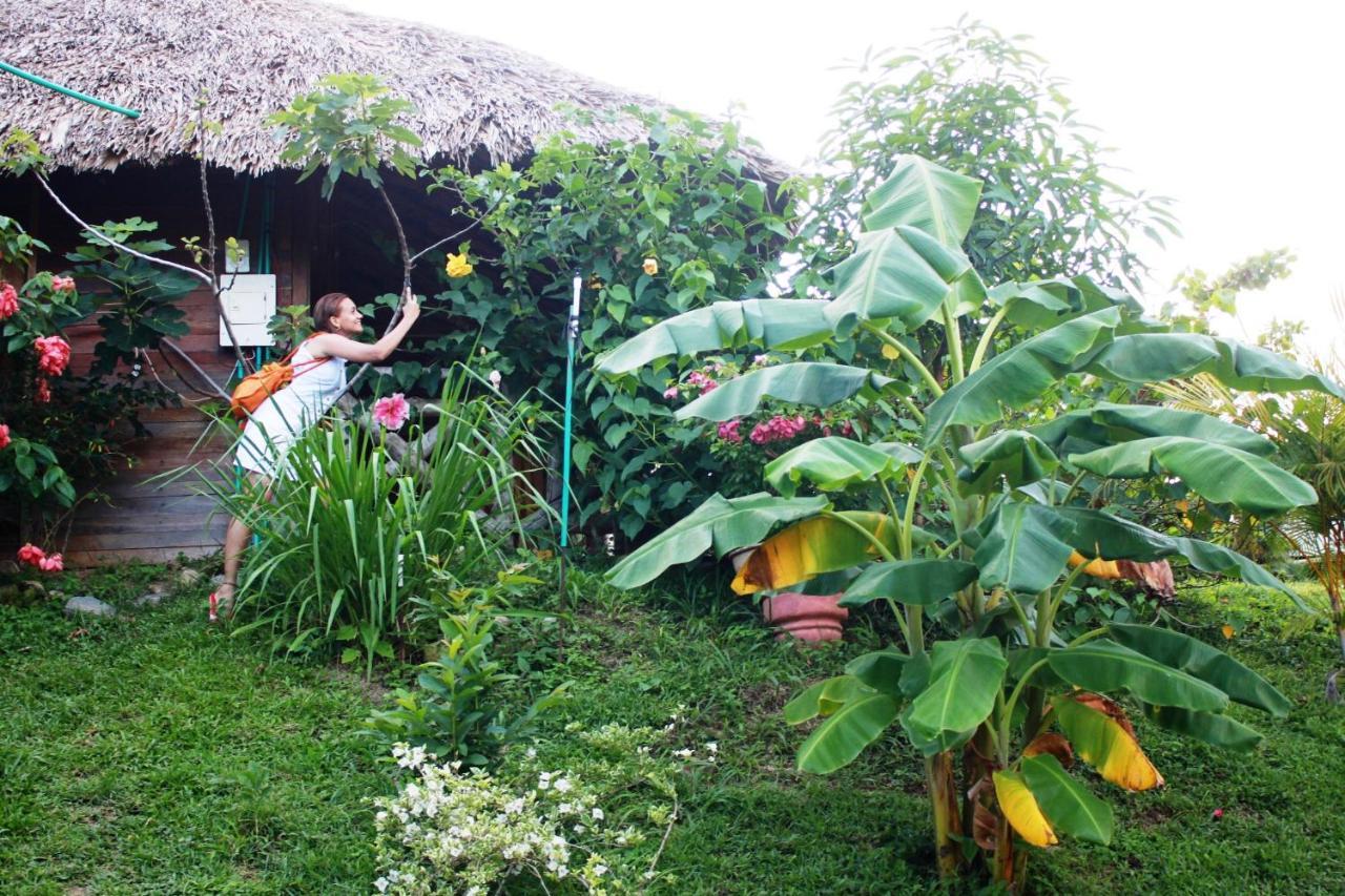 Vila Cabanas Ecoturisticas Y Club Gaira Tayrona Santa Marta  Exteriér fotografie